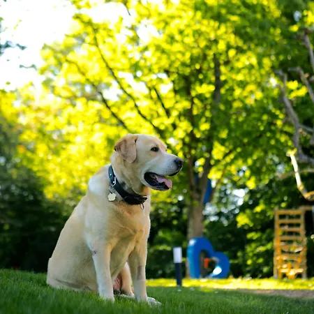 Du Soleil Dans La Ruelle - La Grouas Etival-les-le-Mans