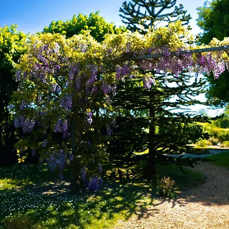 Du Soleil Dans La Ruelle - La Grouas