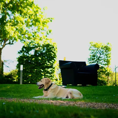 Du Soleil Dans La Ruelle - La Grouas Vila