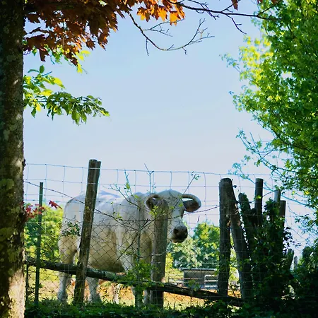 Du Soleil Dans La Ruelle - La Grouas Vila *