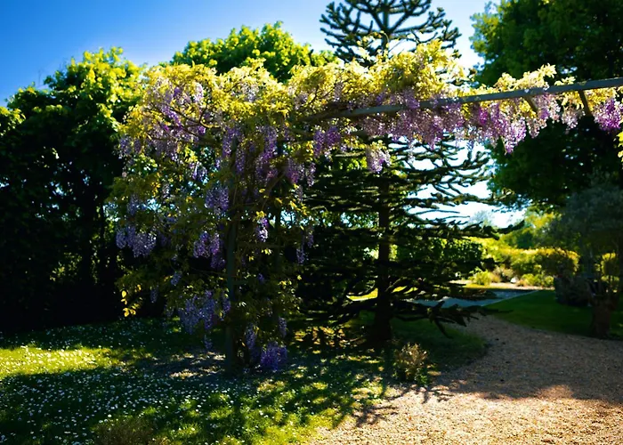 Du Soleil Dans La Ruelle - La Grouas