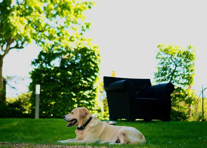 Du Soleil Dans La Ruelle - La Grouas Вилла