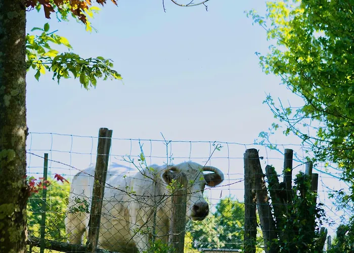 Du Soleil Dans La Ruelle - La Grouas Вилла *